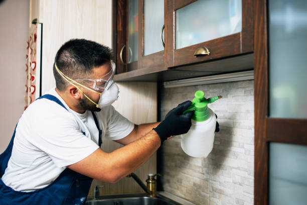 Best Affordable Pest Control Services  in Inez, TX