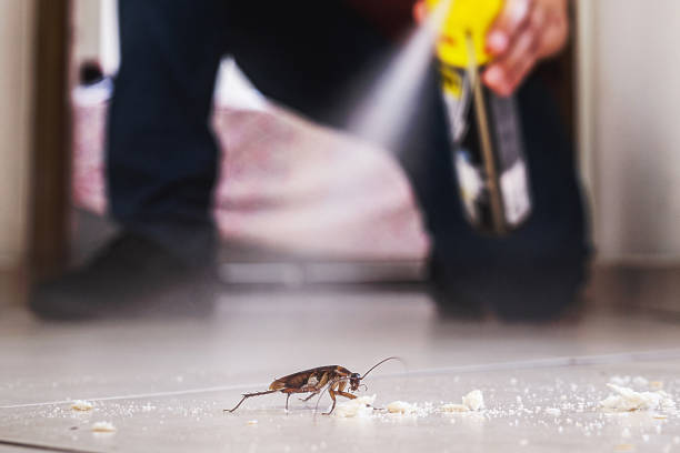 Best Wildlife Control Services  in Inez, TX