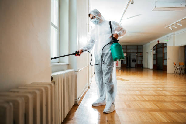 Best Local Pest Control Services  in Inez, TX